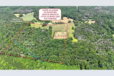 00001 Melear Road, Bowdon, GA 30108 - Photo 4