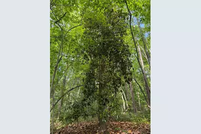 00001 Melear Road, Bowdon, GA 30108 - Photo 40