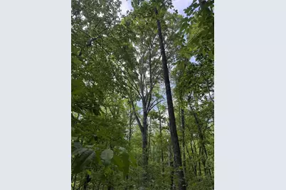 00001 Melear Road, Bowdon, GA 30108 - Photo 42