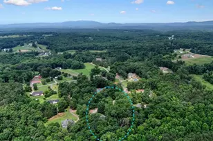 105 Shalea Ln, Ball Ground, GA 30107 - Photo 68