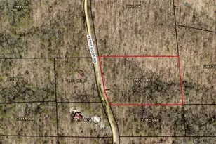 0 Pettit Ridge Rd, Ellijay, GA 30536 - Photo 4