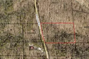 0 Pettit Ridge Rd, Ellijay, GA 30536 - Photo 4