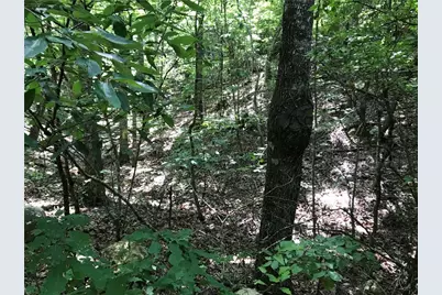 587 E Valley Road NE, Rydal, GA 30171 - Photo 18