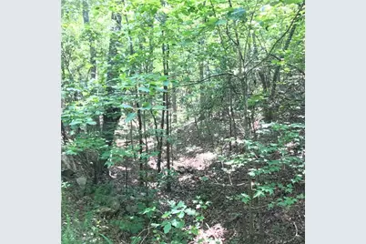 587 E Valley Road NE, Rydal, GA 30171 - Photo 12