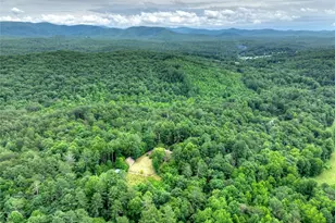 95 Laughing Bird Ln, Ellijay, GA 30536 - Photo 8