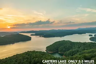 2956 Blalock Mountain Rd, Talking Rock, GA 30175 - Photo 62