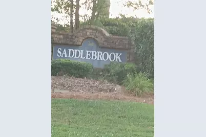 45 Saddlebrook Lane, Covington, GA 30016 - Photo 14