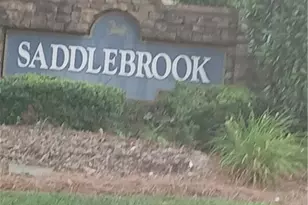 45 Saddlebrook Ln, Covington, GA 30016 - Photo 14