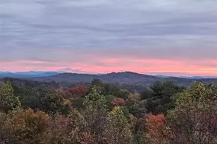 259 Red Bush School Rd, Blue Ridge, GA 30513 - Photo 6
