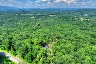 156 Sky High Dr, Ellijay, GA 30536 - Photo 44