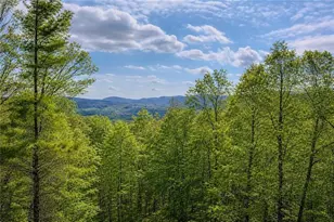 156 Sky High Dr, Ellijay, GA 30536 - Photo 2