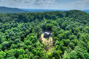 156 Sky High Dr, Ellijay, GA 30536 - Photo 46