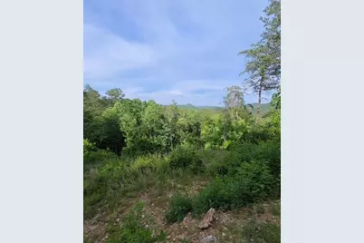 [Address not provided], Mineral Bluff, GA 30559 - Photo 10