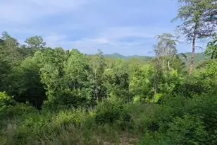 [Address not provided], Mineral Bluff, GA 30559 - Photo 10