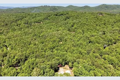 315 Darby Lane, Blairsville, GA 30512 - Photo 40