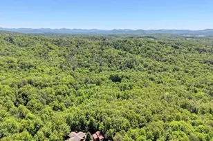 315 Darby Ln, Blairsville, GA 30512 - Photo 38