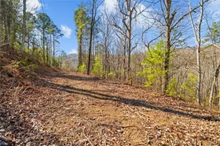 000 Deerfield Ln, Calhoun, GA 30701 - Photo 1