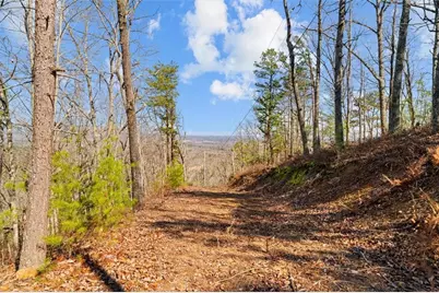 571 Deerfield Lane, Sugar Valley, GA 30746 - Photo 20