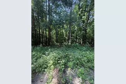 0 Heron Court, Monticello, GA 31064 - Photo 2