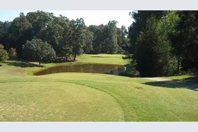 0 Heron Court, Monticello, GA 31064 - Photo 10