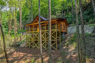 122 Laurel Creek Trail, Blue Ridge, GA 30513 - Photo 2