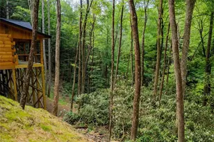 122 Laurel Creek Trail, Blue Ridge, GA 30513 - Photo 18