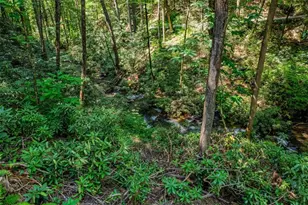122 Laurel Creek Trail, Blue Ridge, GA 30513 - Photo 14