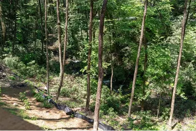 122 Laurel Creek Trail, Blue Ridge, GA 30513 - Photo 36