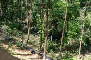 122 Laurel Creek Trail, Blue Ridge, GA 30513 - Photo 36