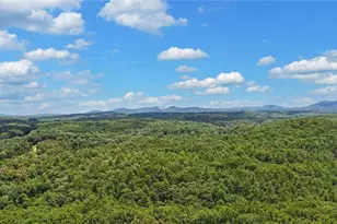 368 Stancil Dyer Rd, Dahlonega, GA 30533 - Photo 70