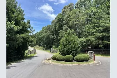 41 Birmingham Road, Ball Ground, GA 30107 - Photo 46