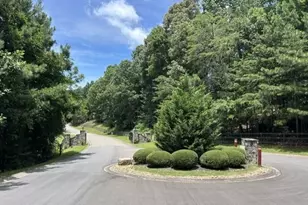 41 Birmingham Rd, Ball Ground, GA 30107 - Photo 46