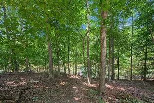 6695 Thunder Trail, Gainesville, GA 30506 - Photo 40