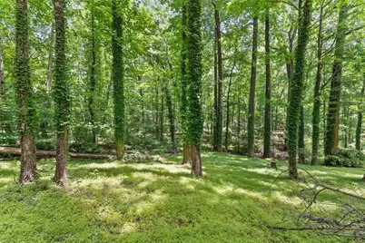 20 Pine Lake Drive, Cumming, GA 30040 - Photo 44
