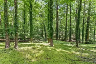 20 Pine Lake Dr, Cumming, GA 30040 - Photo 44