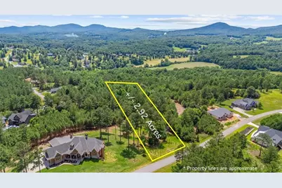 Lt 276 The Cove @ 1300, Blairsville, GA 30512 - Photo 1