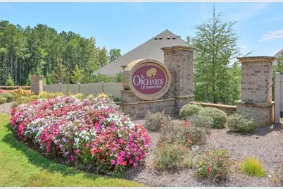 1401 Lexington Green Pines, Cumming, GA 30040 - Photo 50