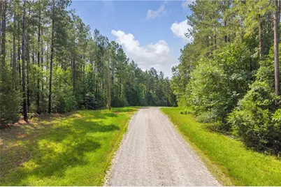 0 White Owl Drive, Elberton, GA 30635 - Photo 10