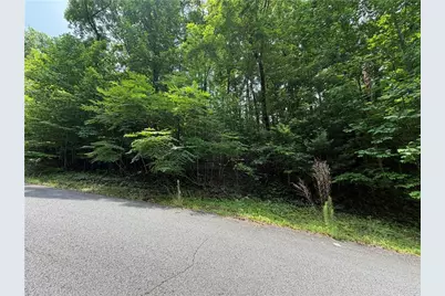 Lot 19 Mill Ridge Rd, Hiawassee, GA 30546 - Photo 4