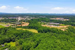 420 Thompson Creek Park Rd, Dawsonville, GA 30534 - Photo 26