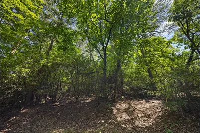 196 Cinnamon Fern Lane, Big Canoe, GA 30143 - Photo 2