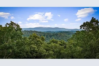 241 Wolf Creek Mountain Road, Mineral Bluff, GA 30559 - Photo 2