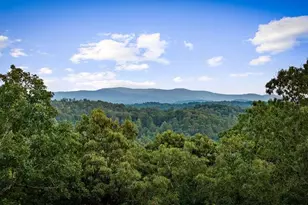 241 Wolf Crk Mountain Rd, Mineral Bluff, GA 30559 - Photo 2