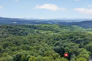 648 Stuart Mountain Rd, Mineral Bluff, GA 30559 - Photo 66