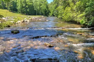 1027 Power Dam Rd, Blue Ridge, GA 30513 - Photo 38