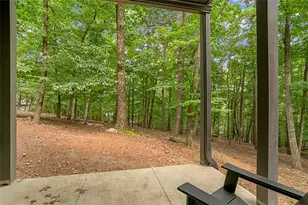 233 Lone Wolf Trail, Jasper, GA 30143 - Photo 46