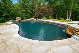 156 Lula Payne Trail, Ball Ground, GA 30107 - Photo 68