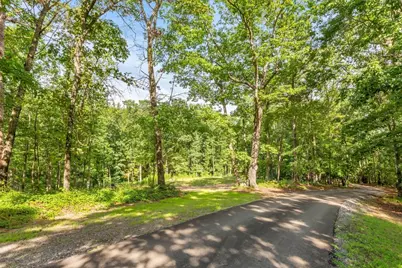 173 Hogan Pond Lane, Ball Ground, GA 30107 - Photo 10