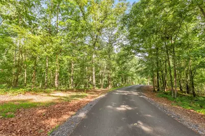 173 Hogan Pond Lane, Ball Ground, GA 30107 - Photo 6