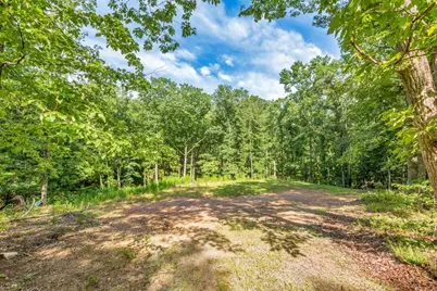 173 Hogan Pond Lane, Ball Ground, GA 30107 - Photo 8